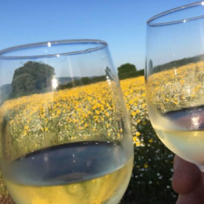 Wine Glasses Field